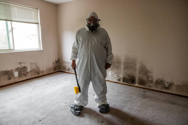 Mold Documentation for Insurance Claims in Marcus Hook, PA